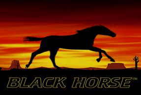 Игровой автомат Black Horse™