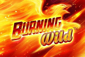 Игровой автомат GW Burning Wild