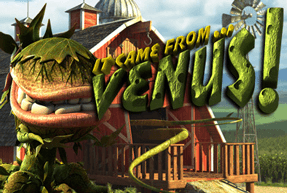 Ігровий автомат It Came From Venus JP Plus