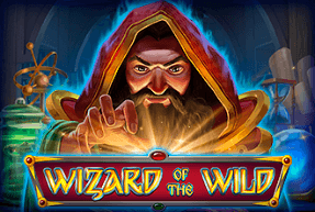 Игровой автомат Wizard of the Wild