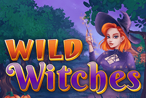 Игровой автомат Wild Witches
