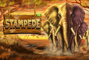 Ігровий автомат Stampede