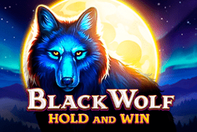 Ігровий автомат Black Wolf