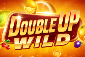 Игровой автомат Wild Double Up
