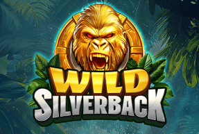 Игровой автомат Wild Silverback