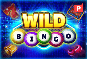 Игровой автомат Wild Bingo